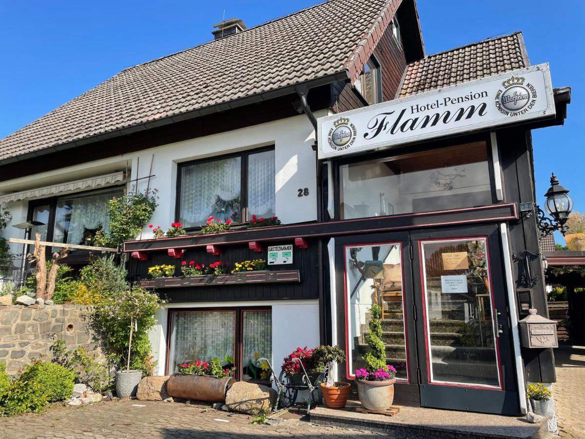 Hotel-Pension Flamm Braunlage Eksteriør billede