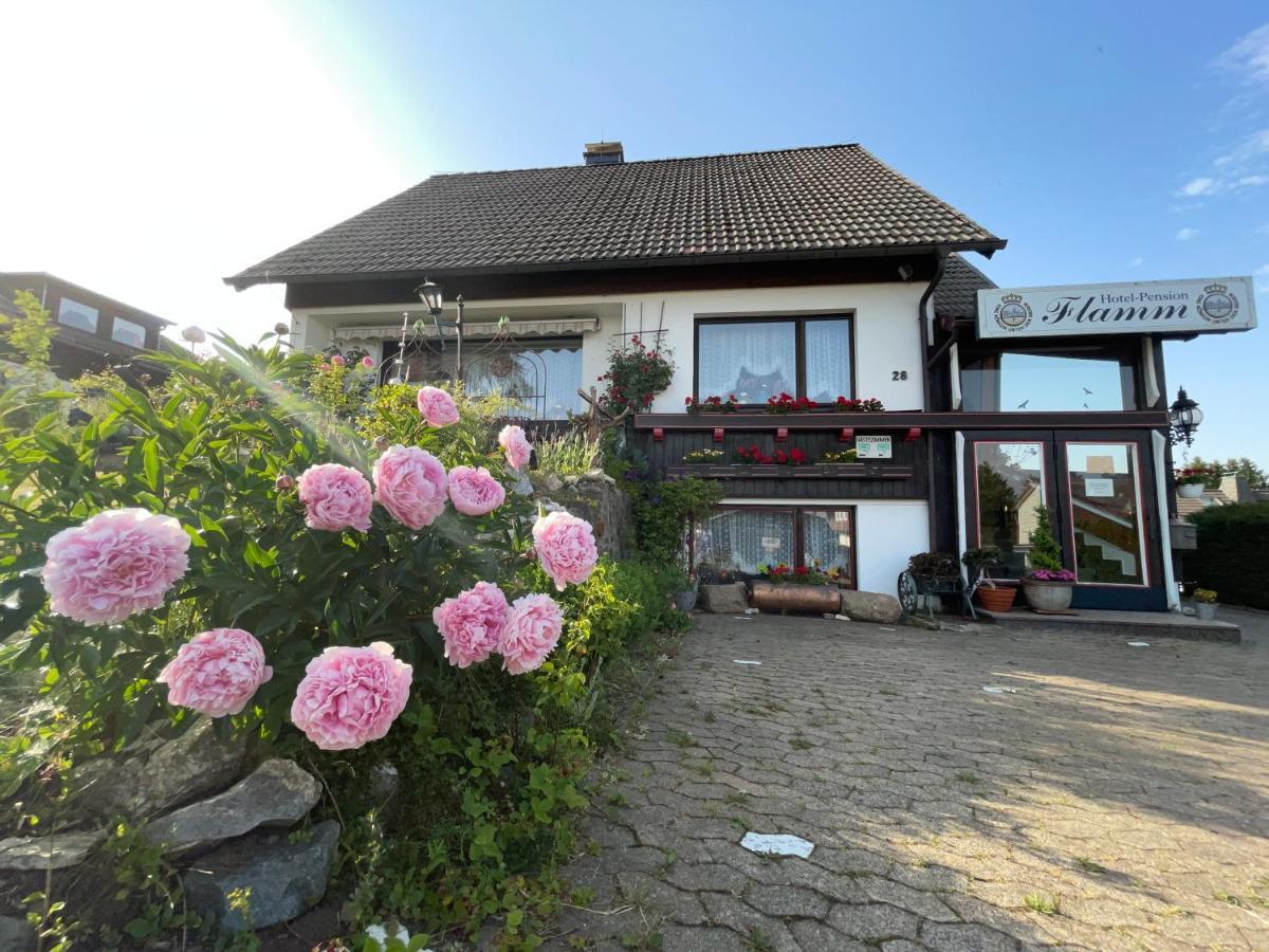Hotel-Pension Flamm Braunlage Eksteriør billede